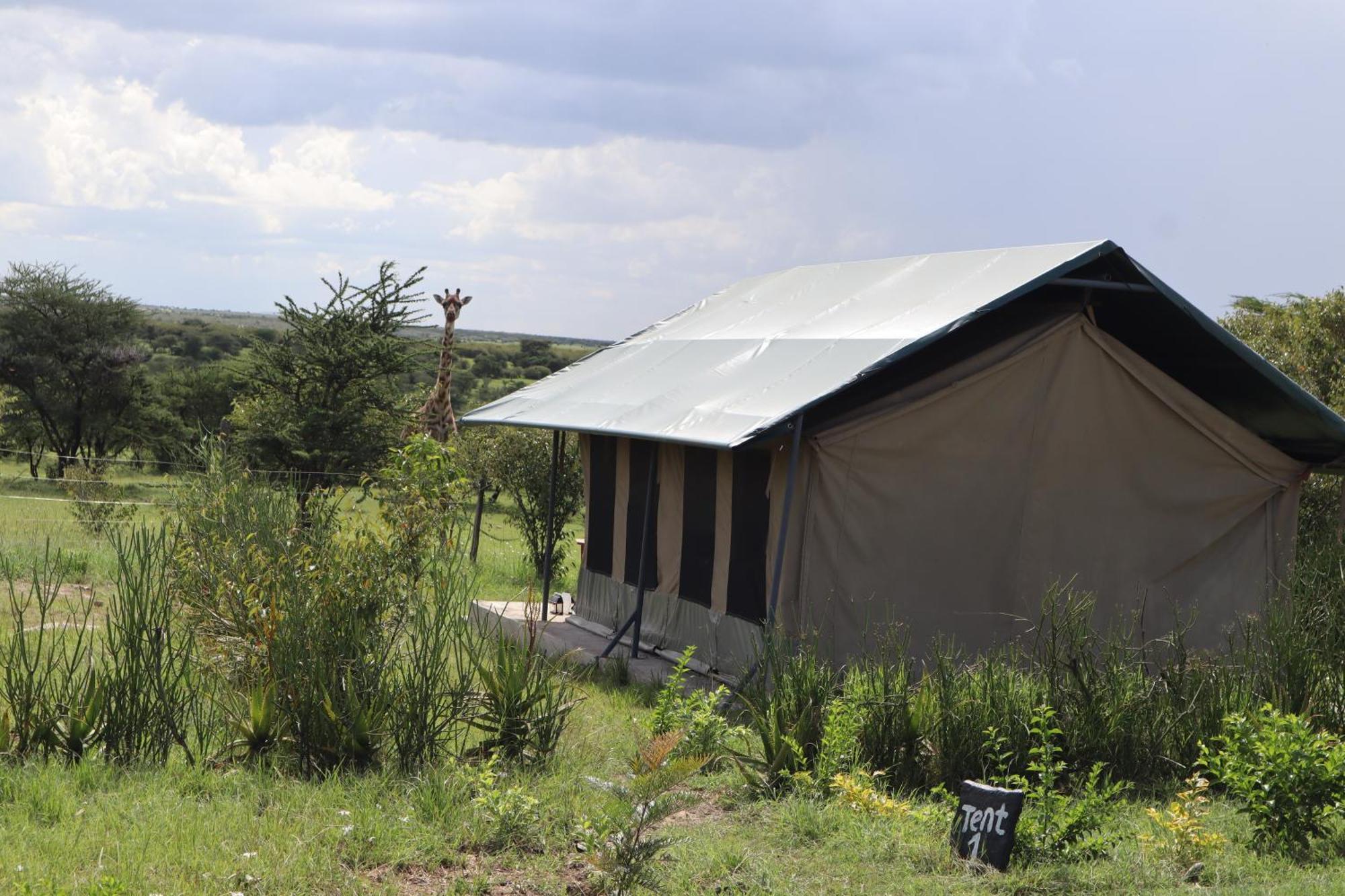 Отель Kambu Mara Camp Sekenani Экстерьер фото